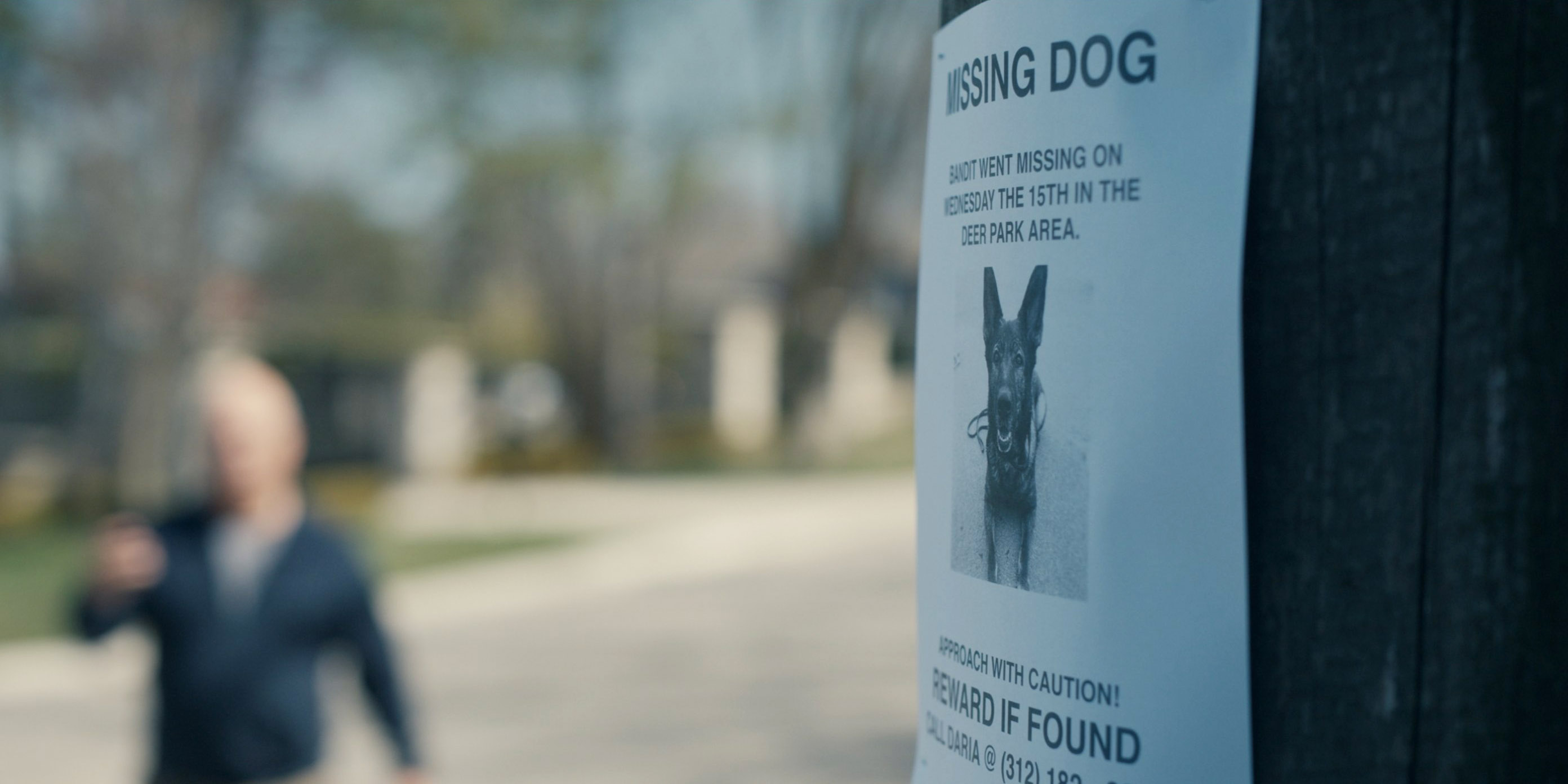 Hand-designed Missing Dog poster on a telephone pole in Accused S1 E1
