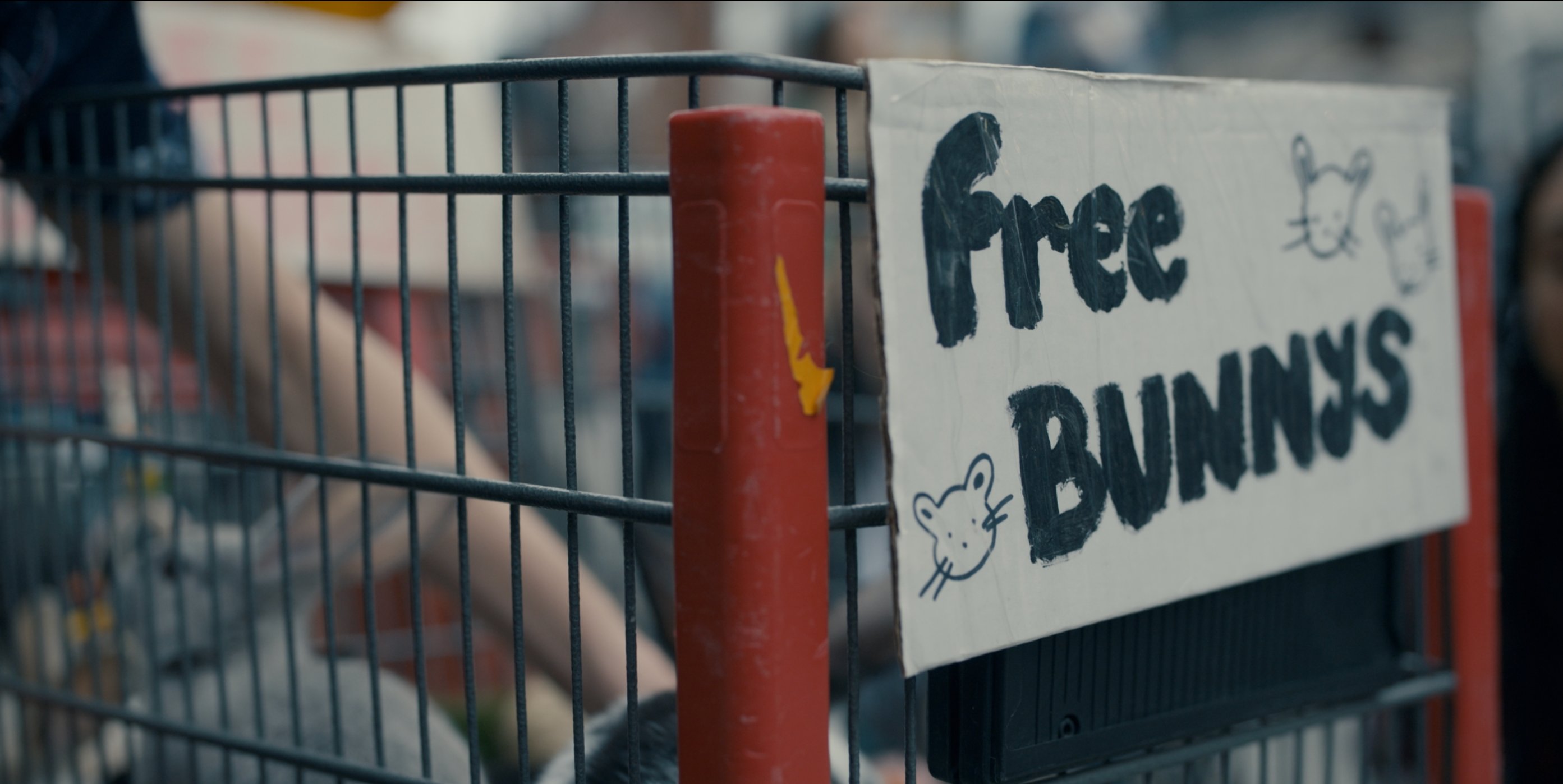 Hand-painted Free Bunnys cardboard sign with intentional misspelling in Accused S1 E10